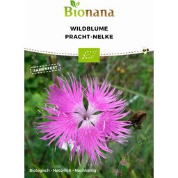 Bionana "Fringed pink" Organic Wildflower