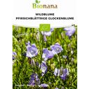 Bio Wildblume Pfirsichblättrige Glockenblume - 1 Pkg