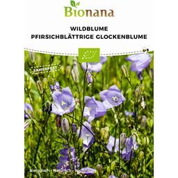 Bio Wildblume Pfirsichblättrige Glockenblume - 1 Pkg
