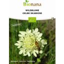 Bionana Fleur Sauvage Bio - Scabieuse Jaune Pâle - 1 sachet