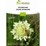 Bionana Fleur Sauvage Bio - Scabieuse Jaune Pâle