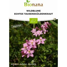 Bionana Common Centaury Organic Wildflower