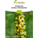 Bionana Fekete ökörfarkkóró Bio vadvirág - 1 csomag
