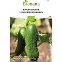 Bionana Bio Einlegegurke „Vorgebirgstrauben“ - 1 Pkg