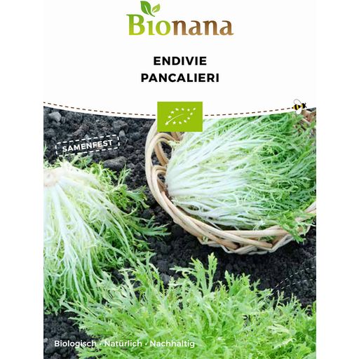 Bionana Bio Endivie „Pancalieri“ - 1 Pkg