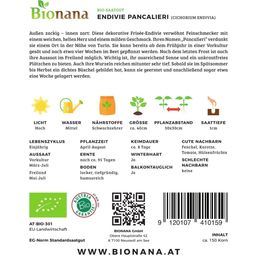 Bionana Bio endivija „Pancalieri“ - 1 pkt.
