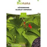 Bionana Organic Runner Bean "Scarlet Emperor"