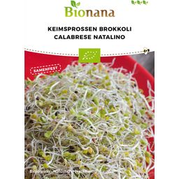 Semi per Germogli di Broccoli Bio - Calabrese Natalino