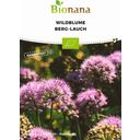 Bionana Fleur Sauvage Bio - Ail des Montagnes - 1 sachet