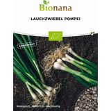 Bionana Organic Spring Onion "Pompei"