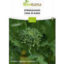 Biologische Italiaanse Raapsteel - Cima di Rapa - 1 Verpakking
