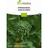 Biologische Italiaanse Raapsteel - Cima di Rapa