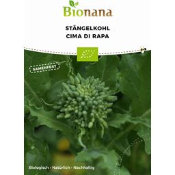 Biologische Italiaanse Raapsteel - Cima di Rapa - 1 Verpakking