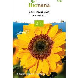 Bionana Bio Sonnenblume „Bambino“ - 1 Pkg
