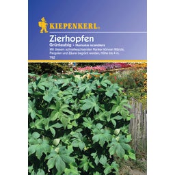 Kiepenkerl Grünlaubiger Zierhopfen