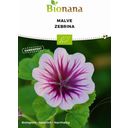 Bionana „Zebrina“ Bio mályva - 1 csomag