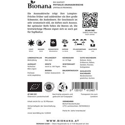 Bionana Bio ananasova češnja - 1 pkt.
