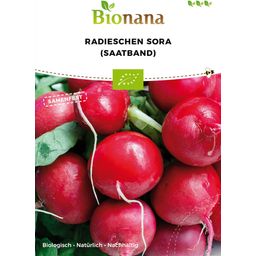 Bionana "Sora" Organic Radishes (Seed Band)