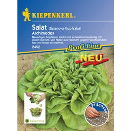 Kiepenkerl Salanova-Kopfsalat - Archimedes