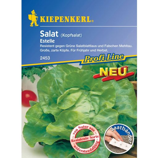 Kiepenkerl Butterhead Lettuce 