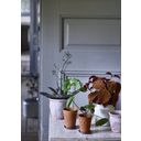 Strömshaga Coasters for Small Flower Pots - 1 item