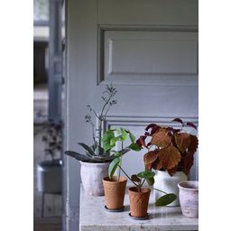 Strömshaga Coasters for Small Flower Pots - 1 item