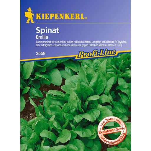 Kiepenkerl Spinach 
