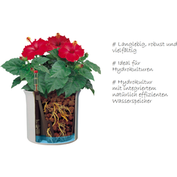 LENI Hidrokulturni lonec