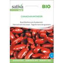 Sativa Biologische bonen Canadian Wonder - 1 Verpakking