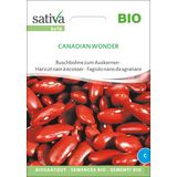 Sativa Biologische bonen Canadian Wonder