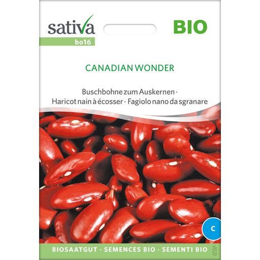 Bio Buschbohne zum Auskernen "Canadian Wonder" - 1 Pkg