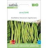 Sativa Haricot Nain Bio "La Victoire"