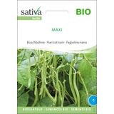 Sativa Biologische Struikboon "Maxi"