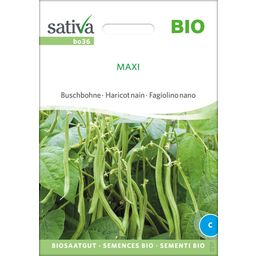 Sativa Bio Buschbohne "Maxi"