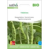 Sativa Bio Stangenbohne "Trebona"