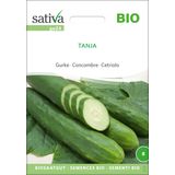 Sativa Biologische Komkommer "Tanja"