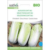 Sativa Bio "Válogatás (Sat36)" kínai kel