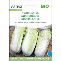 "Auslese (Sat36)" Organic Chinese Cabbage