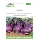 Biologische Herfstkoolrabi Blauw “Blaril Ks” - 1 Verpakking