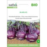 Sativa Bio Herbstkohlrabi blau "Blaril Ks"