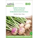Sativa Rapa Bio - Purple Top Milan - 1 conf.
