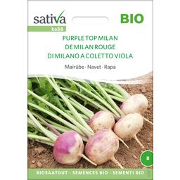 Sativa "Purple Top Milan" Organic Turnip