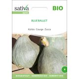 Sativa Zucca Bio - Blue Ballet