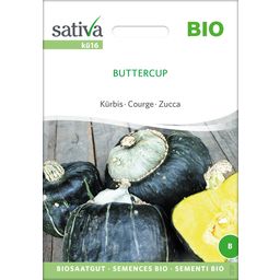 Sativa Bio Kürbis "Buttercup"
