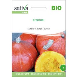 Sativa Bio Kürbis "Red Kuri"