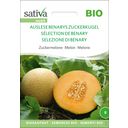 Sativa Melon cukrowy „Auslese” bio - 1 opak.
