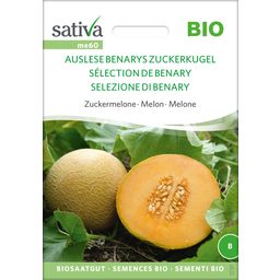 Sativa Organic Sugar Melon "Auslese"