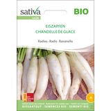 Sativa Bio redkev "Icicles"