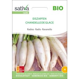 Sativa "Icicles" Organic Radish
