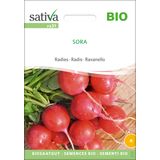 Sativa Bio reďkovka "Sora"